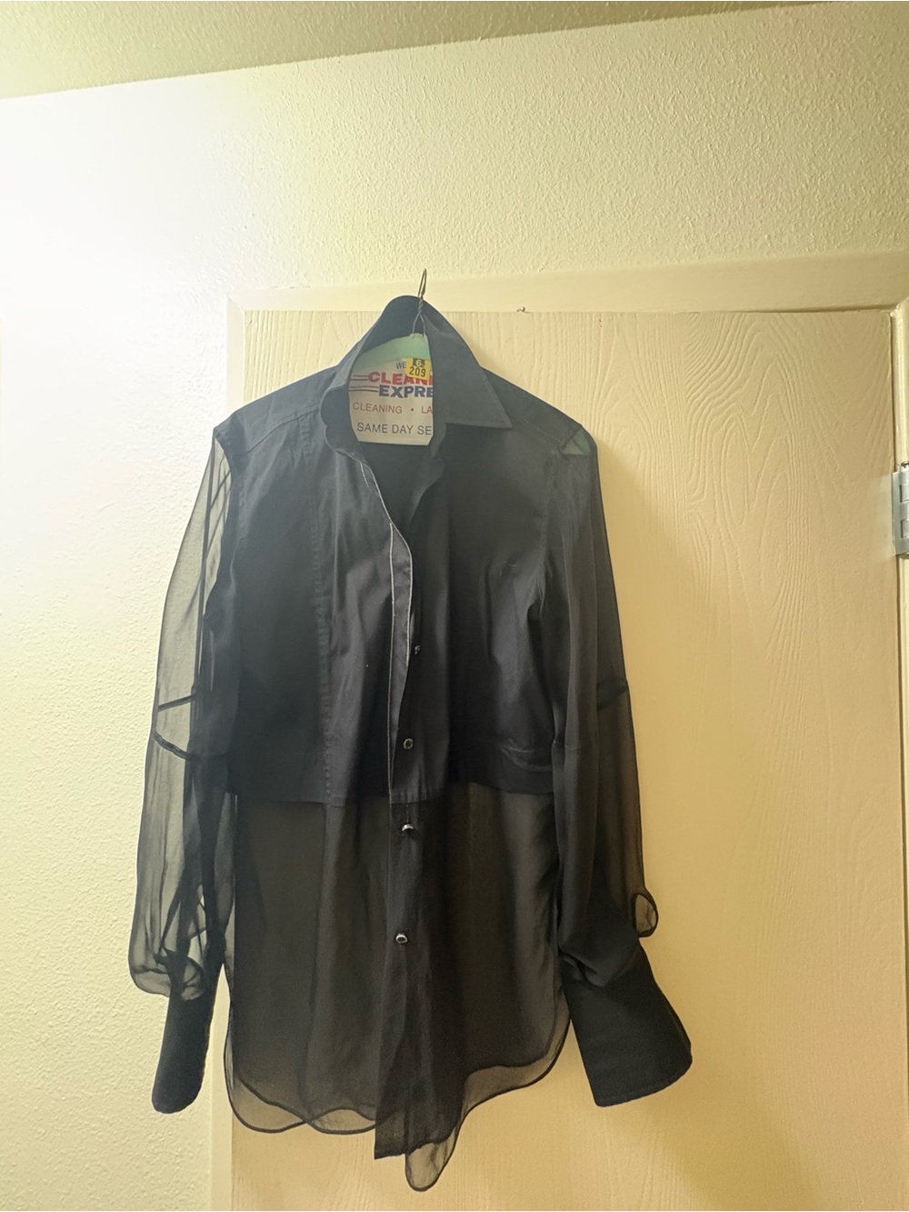 Brunello Cucinelli Black Sheer Button-Up Blouse
